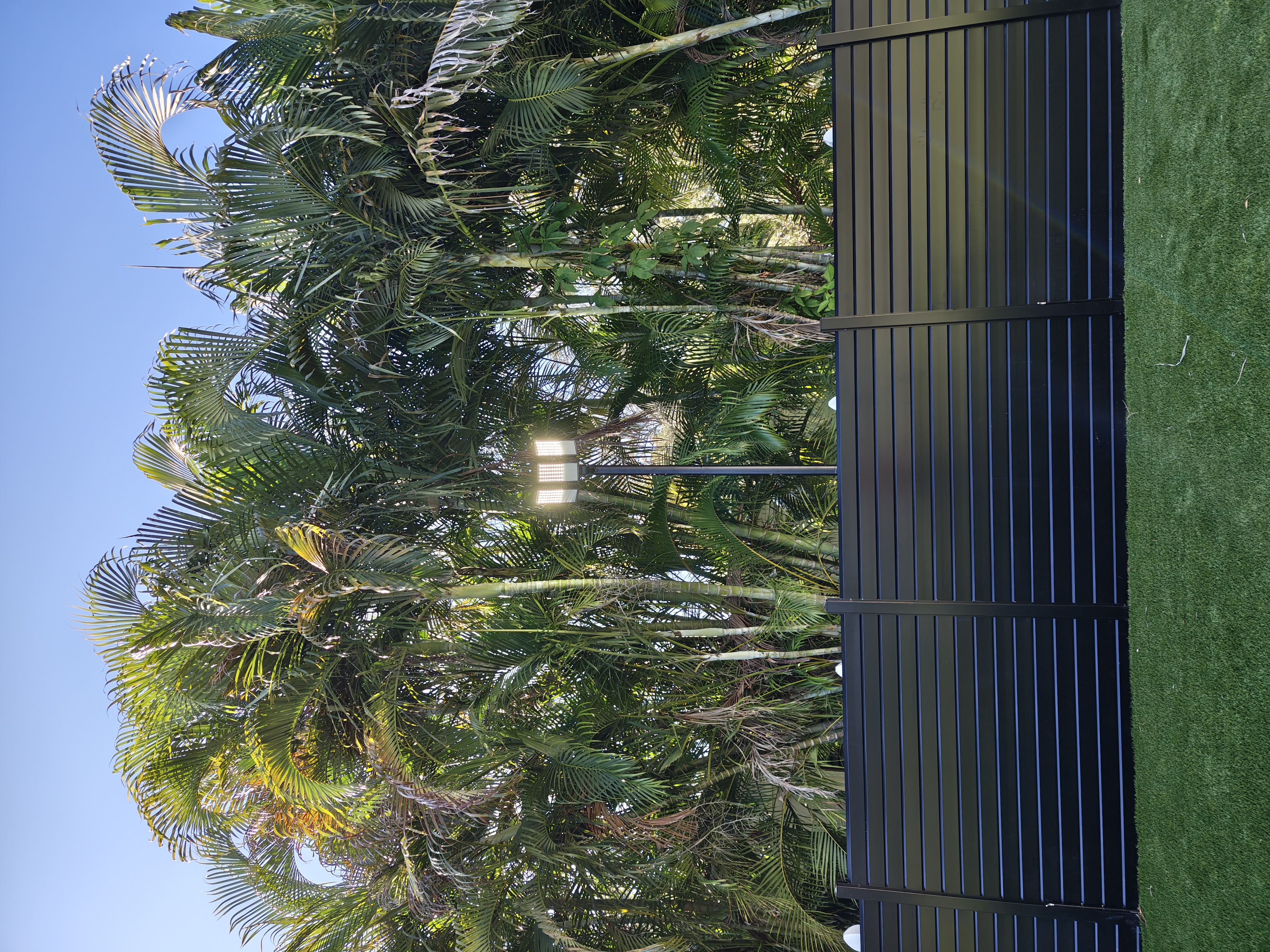 Exterior architectural lighting set among palm trees against an evening sky